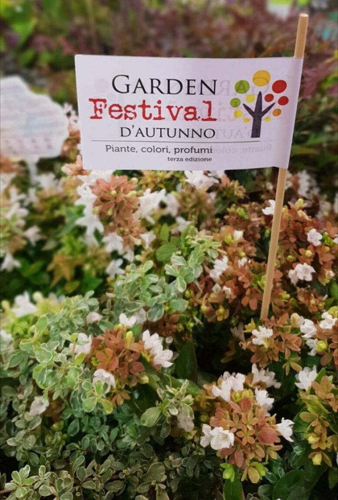 garden festival autunno