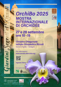 orchibo bologna