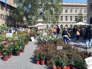 piazze in fiore piazza minghetti