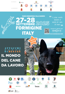 attacchi di design