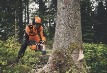 motosega stihl