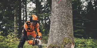 motosega stihl