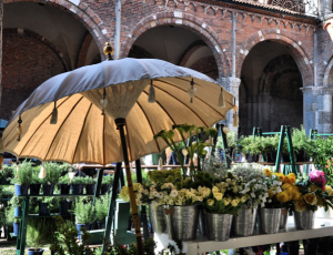 mostre mercato flora et decora
