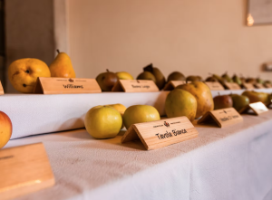 mostre mercato pomaria