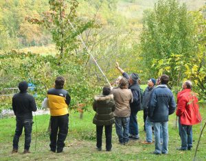 vivai belfiore corsi