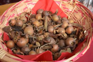 fiera puciu mostre mercato