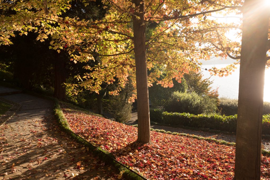 villa carlotta mostra mercato