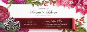 peonia in bloom winter edition