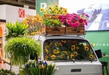Mostre mercato di giardinaggio in febbraio 2026 myplant