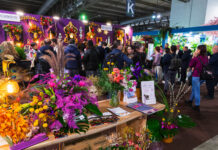 Myplant & Garden 2026, 10 anni da leader Myplant