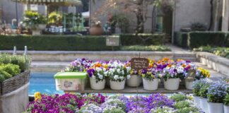 Soffio di Primavera a Villa Necchi