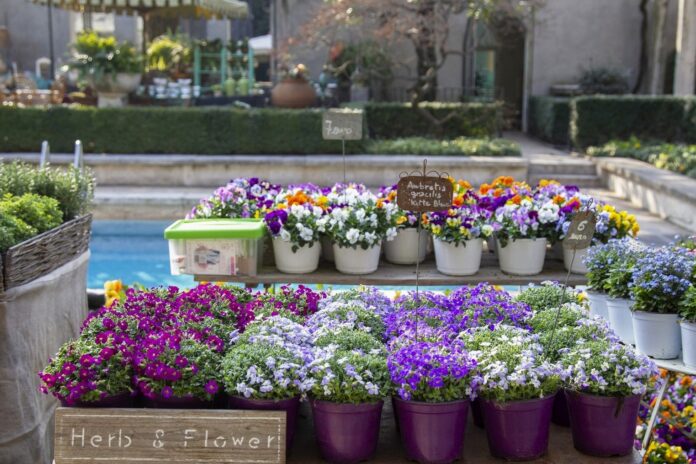 Soffio di Primavera a Villa Necchi