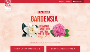 gardensia