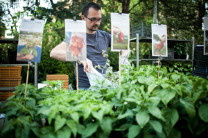 reggio emilia in fiore