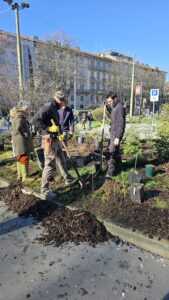 La squadra di giardinieri intenta a scavare buche. Sulla sinistra, Lucia Romani Adami di Peoniamia.