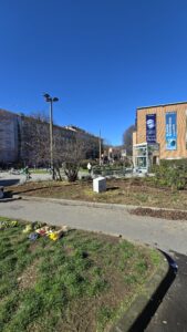 L’aiuola a fine piantagione.