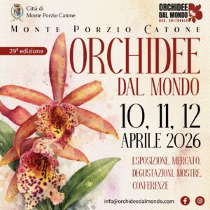 orchidee mondo