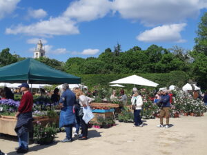 nel segno del giglio