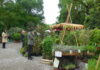 orticola mostra mercato