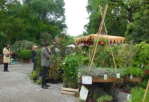 orticola mostra mercato