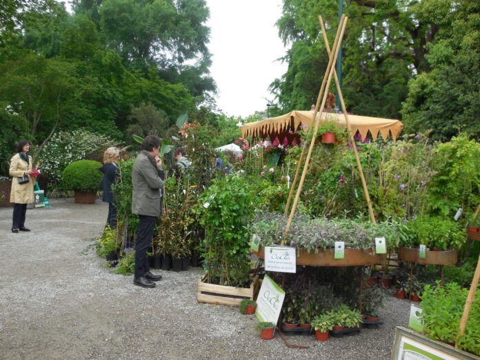 orticola mostra mercato