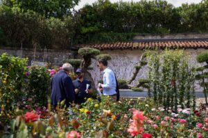 franciacorta in fiore