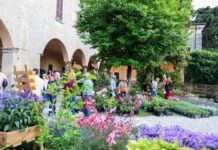franciacorta in fiore