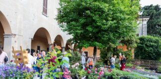 franciacorta in fiore