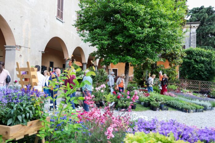 franciacorta in fiore