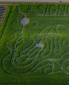 mostre mercato crop circles medicina