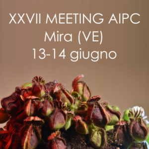 mostre mercato aipc