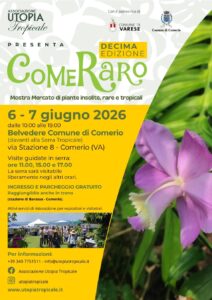 mostre mercato comeraro comerio