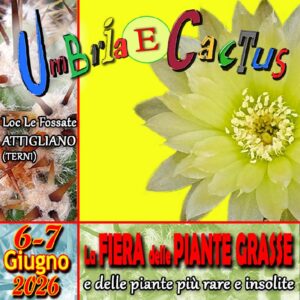 mostre mercato umbria e cactus