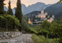 Mostre mercato di giardinaggio in luglio 2026 mostre mercato castello avio fai sere d'estate