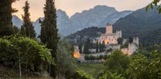 mostre mercato castello avio fai sere d'estate