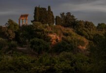Mostre mercato ed eventi di giardinaggio in agosto 2026 mostre mercato fai sere estate kolymbethra