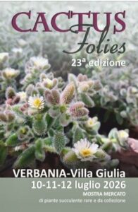 mostre mercato cactus folies