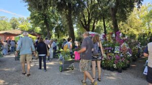 mostre mercato murabilia