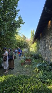 borgo plantarum mostre mercato