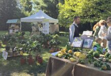 verde grazzano mostre mercato