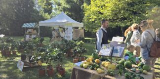 verde grazzano mostre mercato