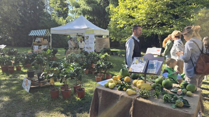 verde grazzano mostre mercato