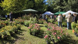 verde grazzano mostre mercato