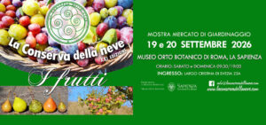 conserva neve mostre mercato