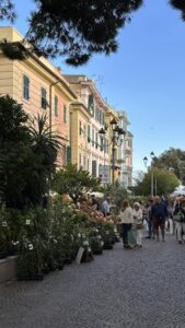 celle ligure mostre mercato