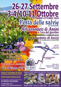 festa salvie lavandeto assisi mostre mercato