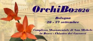 orchibo mostre mercato