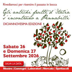pennabilli mostre mercato