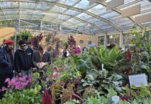 Mostre mercato di giardinaggio in novembre 2026 villa necchi serra