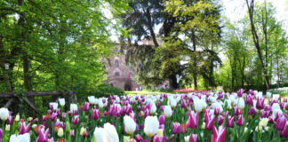 giardino pralormo tulipani